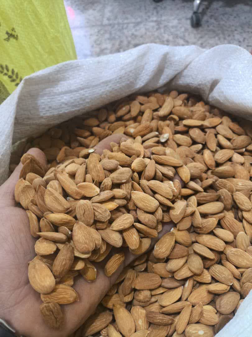 فروش مغز بادام سنگی شهرکرد + قیمت عمده